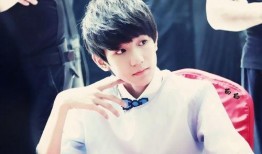 老王爆料王源视频大全集,老王独家爆料，带你领略偶像魅力