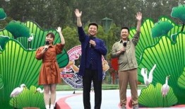 阿诺最新爆料新闻视频,揭秘幕后的惊人真相！